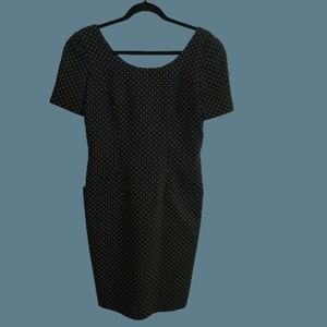 Ann Taylor Polka Dot Professional Shealth Dress